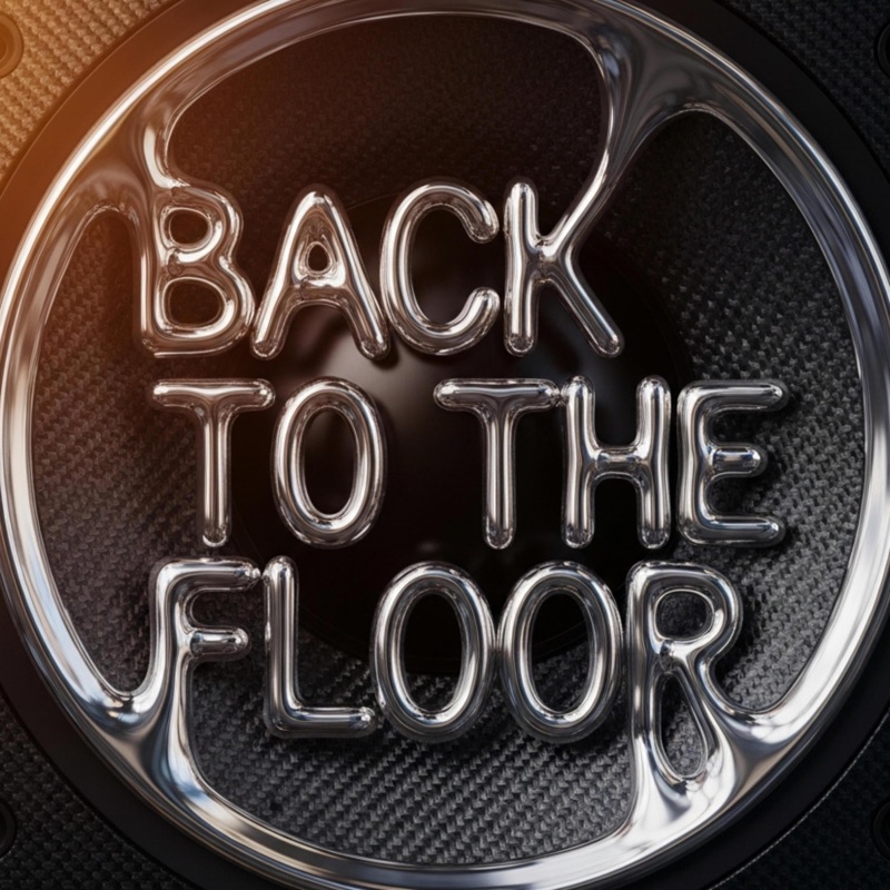 BACK TO THE FLOOR cover